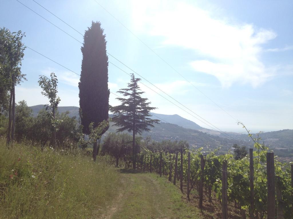 Villa Pandora Agropoli Quarto foto